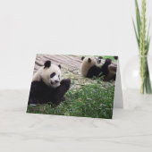Carte blanche Panda Dream (Devant)