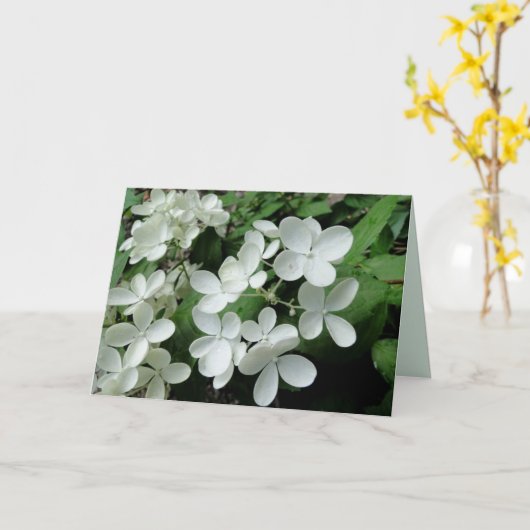 Carte blanche Pee Gee Hydrangea Flowers Blank Note (Fleur jaune)