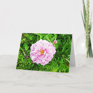 Carte blanche Peonie rose