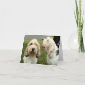 Carte blanche Petit Basette Griffon Vendeen (Devant)