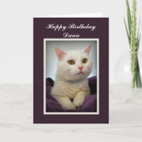 Carte blanche pour chat d'anniversaire Dana