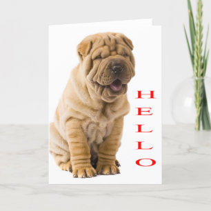 Carte blanche pour chien chiot de Shar Pei