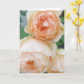 Carte blanche Rosa 'Jude the Obscure' (Fleur jaune)