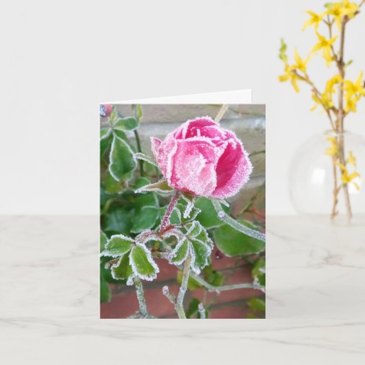 Carte blanche Rose givrée (Fleur jaune)