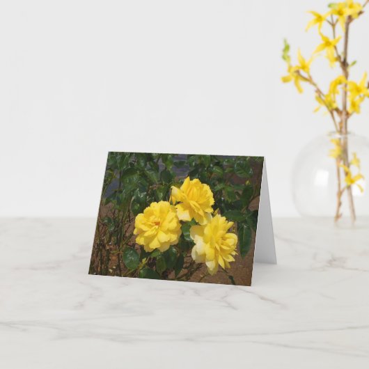 Carte blanche rose jaune (Fleur jaune)