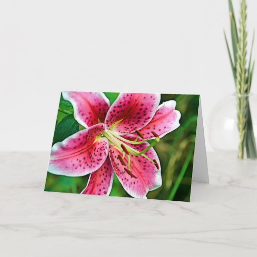 Carte blanche rose Stargazer (Devant)
