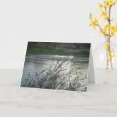 Carte blanche : Salinas River à Paso Robles, 2010 (Fleur jaune)