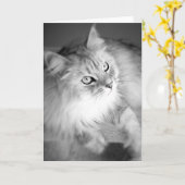 Carte blanche Sibérienne sensationnelle (Fleur jaune)