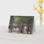 Carte blanche Spring Woods (Fleur jaune)