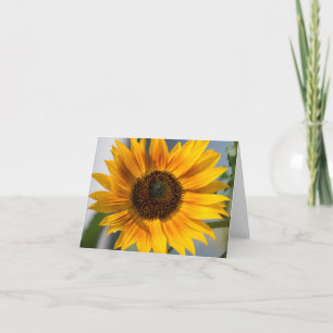 Carte blanche Sunflower
