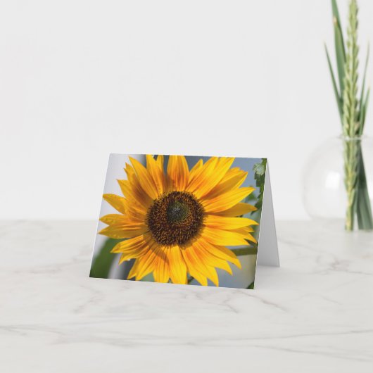 Carte blanche Sunflower (Devant)