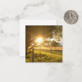 Carte blanche Sunlight du soir (Devant/Arrière en situation)