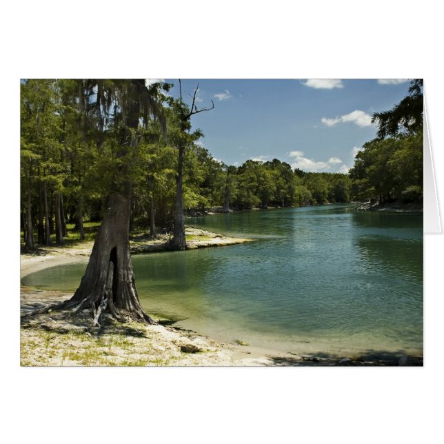 Carte blanche Suwannee River Beach (Devant horizontal)