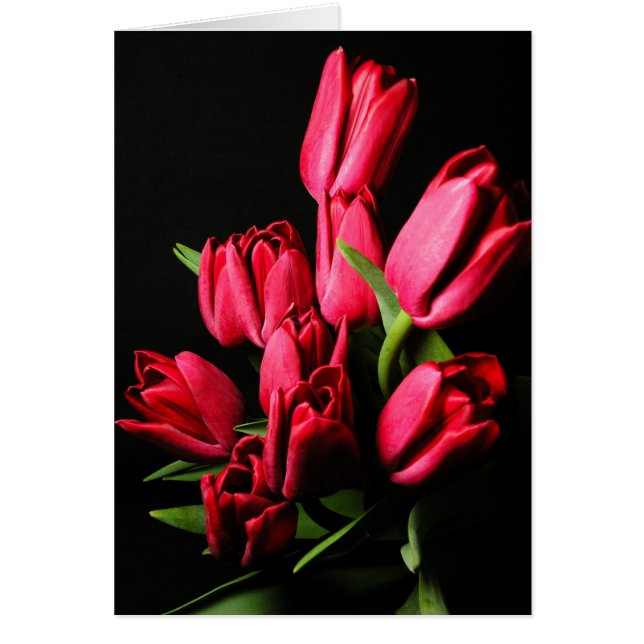 Carte blanche Tulipes rouges (Devant)