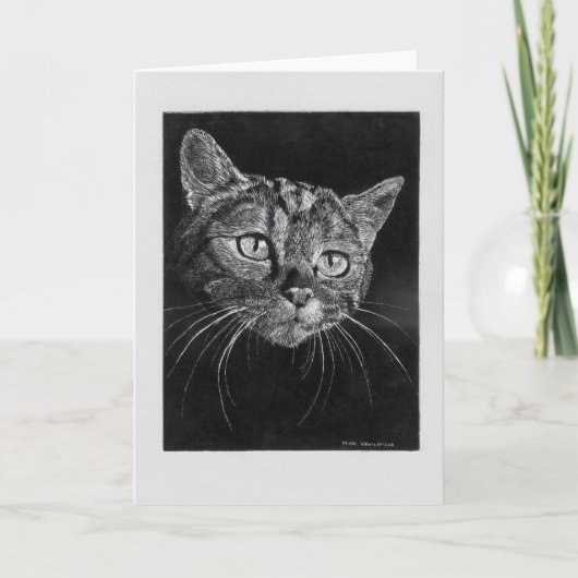 Carte blanche visage de chat. (Devant)