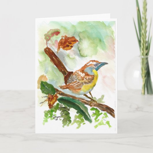 Carte blanche Wren aquarelle (Devant)