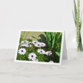 Carte Blancs (Devant)