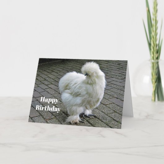 Carte Blancs de poulet Silkie photo Anniversaire (Devant)