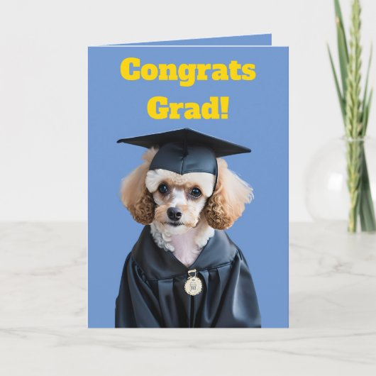 Carte Blancs mignons et Brown Poodle Graduation (Devant)