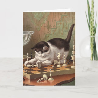 Carte Blank card - Naughty Cat series - Chess Cat