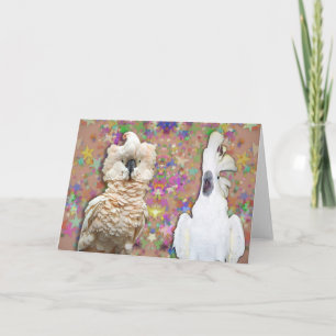 Carte Blank Cockatoo Greeting Card w Moluccan Umbrella