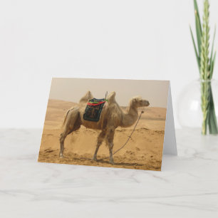 Carte Blank de Camel Désert