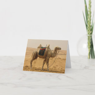 Carte Blank de Camel Désert