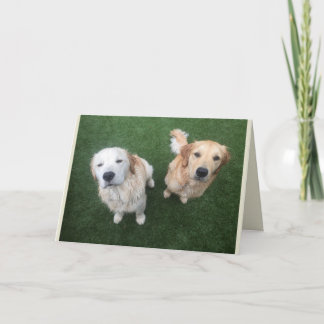 Carte Blank Golden Retriever Greeting Card