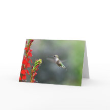Blank greeting card to brighten someone