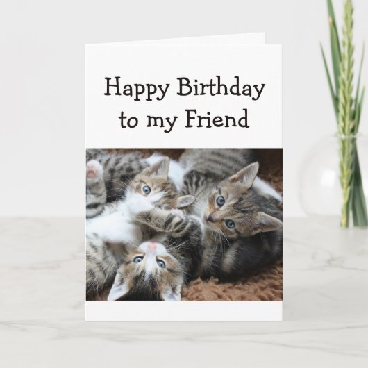 Carte Blank Happy Birthday Friend Pile amusant de Kitten (Devant)
