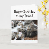 Carte Blank Happy Birthday Friend Pile amusant de Kitten (Fleur jaune)