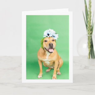 Carte Blank inside card
