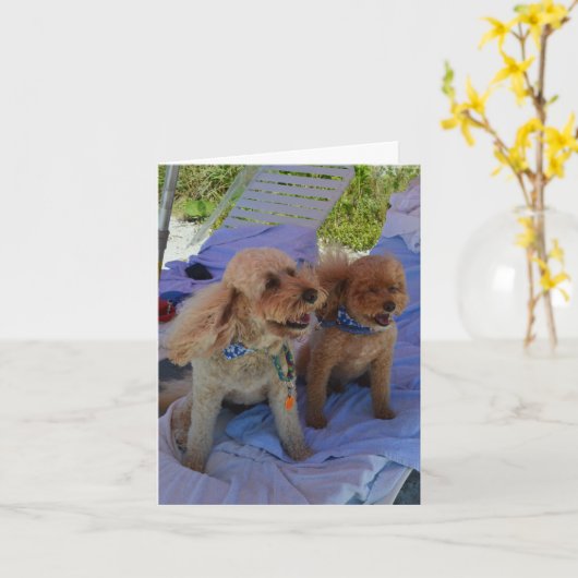 Carte Blank Inside, cockapoo dogs Enjoy Beach (Fleur jaune)