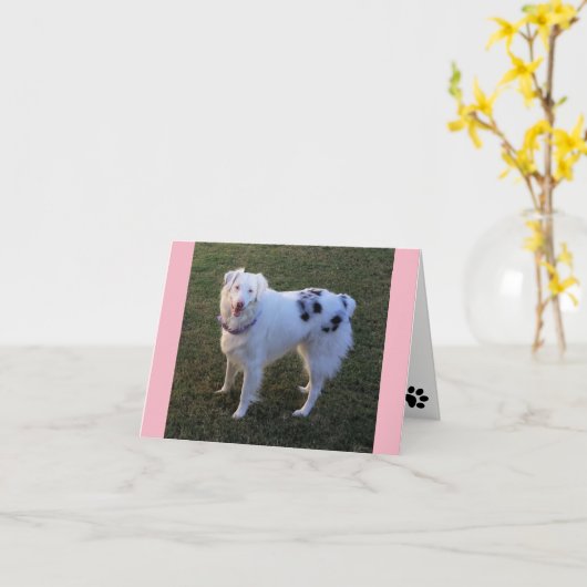 Carte Blank Note avec Australian Shepherd (Fleur jaune)