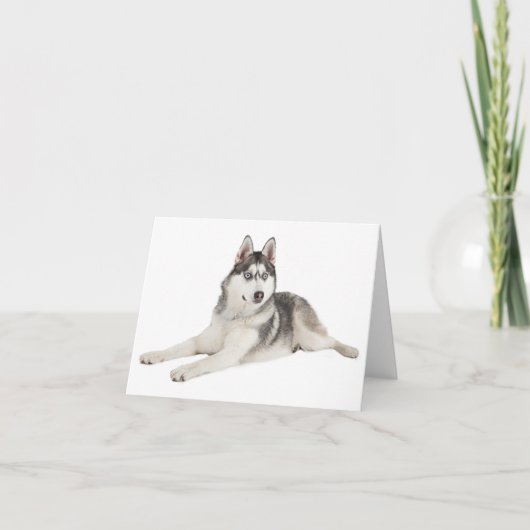 Carte Blank Siberian Husky Puppy Dog Hello Love Miss (Devant)