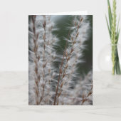 Carte Blé d'hiver (Devant)