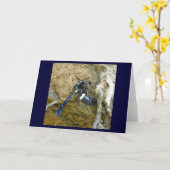 Carte Bleu Boue Dauber (Fleur jaune)