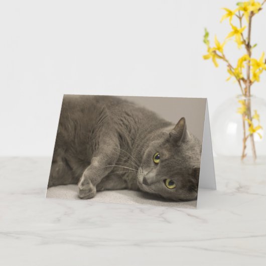 Carte Bleu Chat Russe (Fleur jaune)