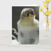 Carte Bleu Cochin Chick dans une Teup (Fleur jaune)
