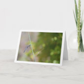 Carte Bleu dragonfly sur Stem Portrait (Devant)
