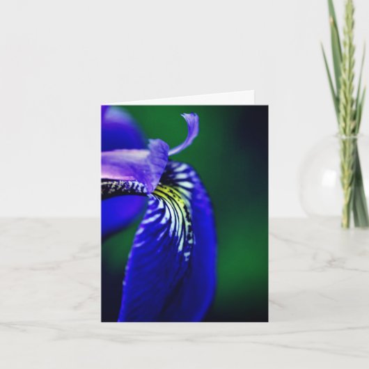 Carte Bleu Drapeau Iris Fleur Note (Devant)