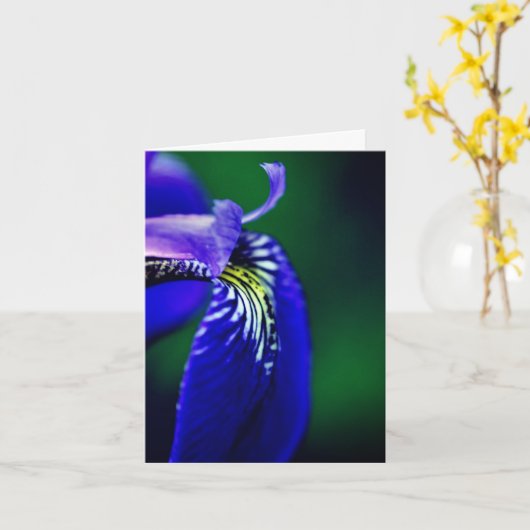 Carte Bleu Drapeau Iris Fleur Note (Fleur jaune)