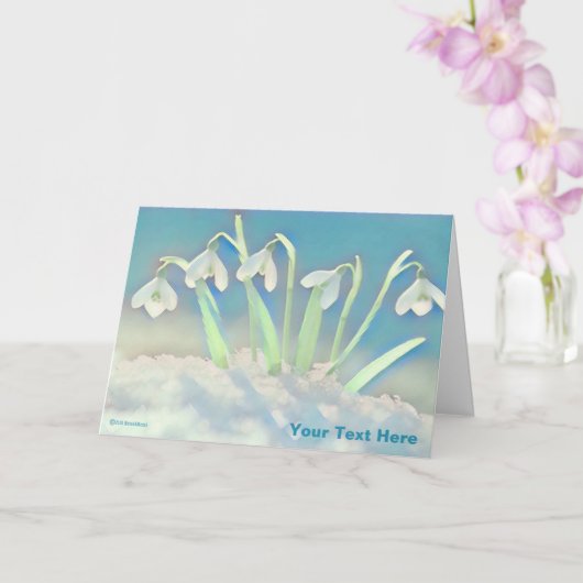 Carte Bleu neige (Orchidée)