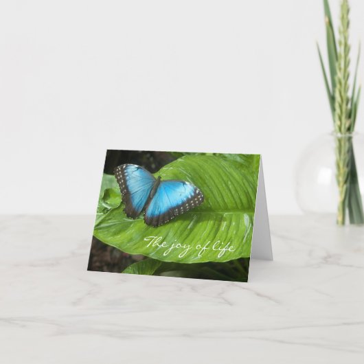 Carte Bleu Papillon Morpho (Devant)