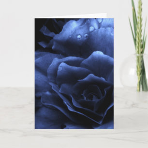 Carte Bleu royal Gros plan d'une double Begonia