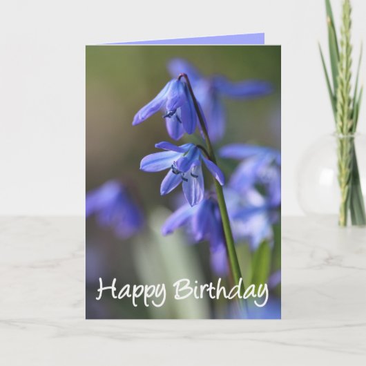 Carte Bleu Scilla siberica (Squill en Bois) Fleurs (Devant)