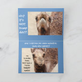 Carte bleue (Intérieur)