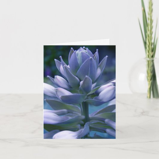 carte bleue (Devant)