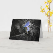 Carte bleue (Fleur jaune)