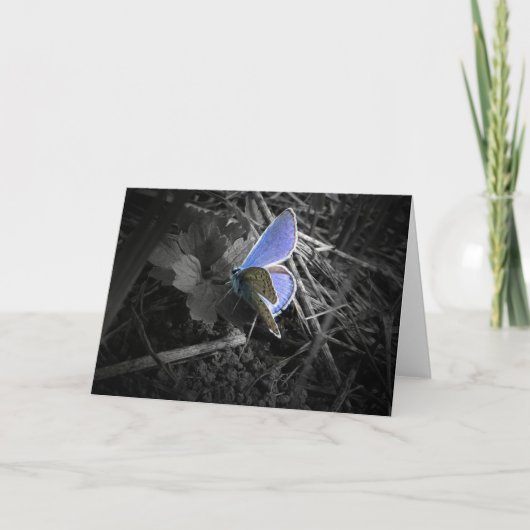 Carte bleue (Devant)